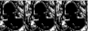 IN IDYLL icon
