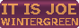 joe wintergreen internet zone icon