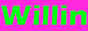 The Blog of Willin icon